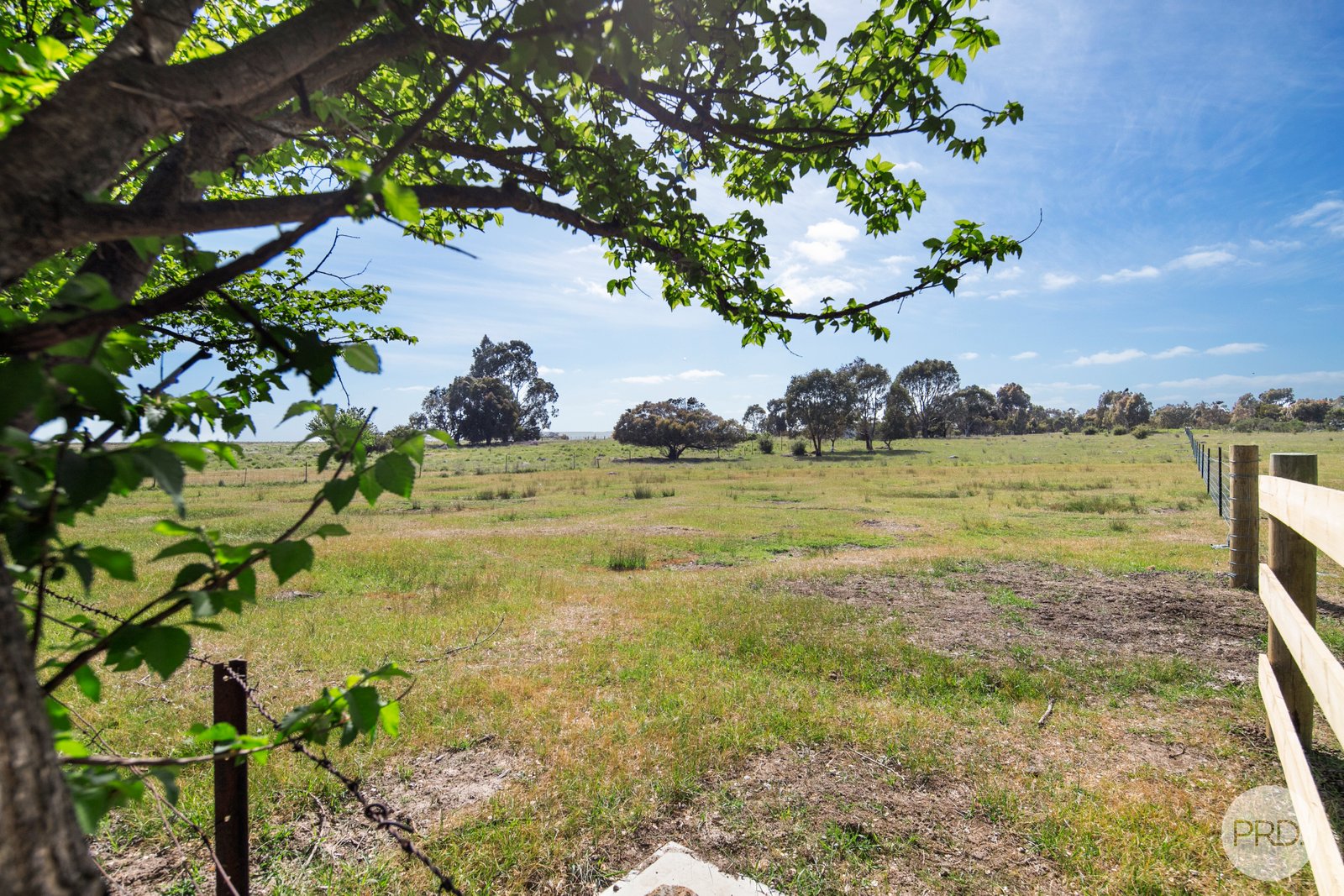 3 Angus Street CLUNES 5