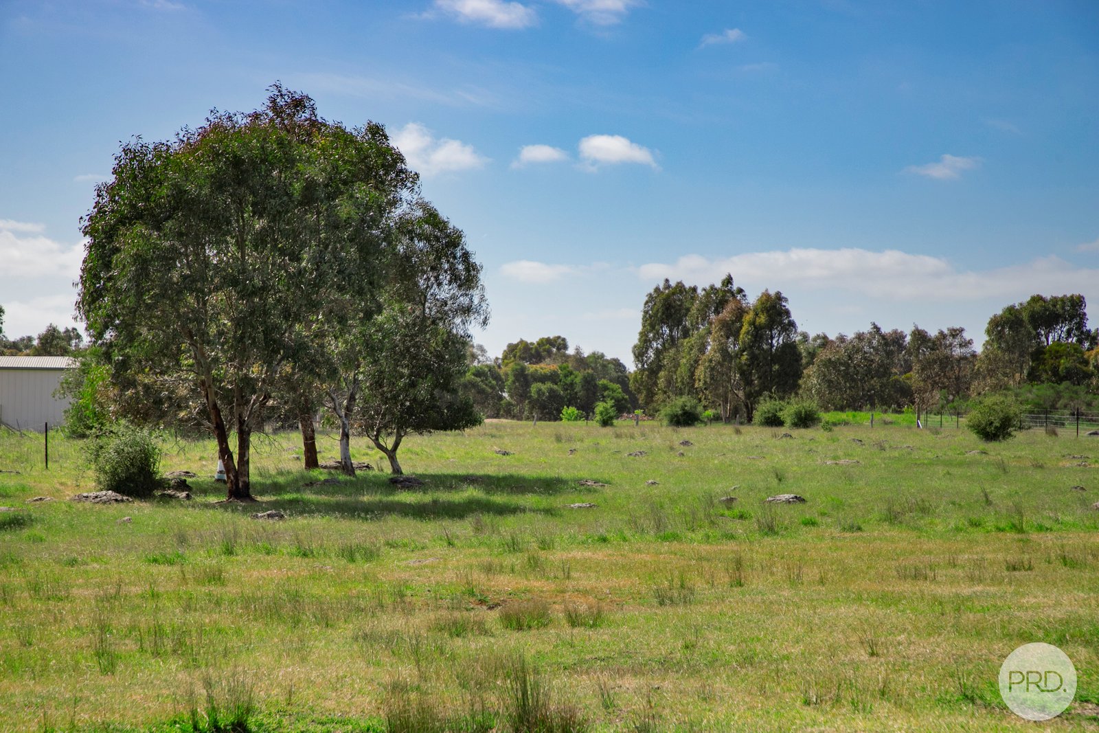 3 Angus Street CLUNES 6