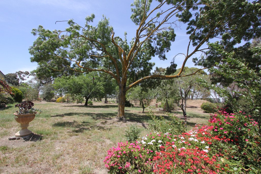 Lot 1, 682 Linton Mannibadar Road MANNIBADAR 13