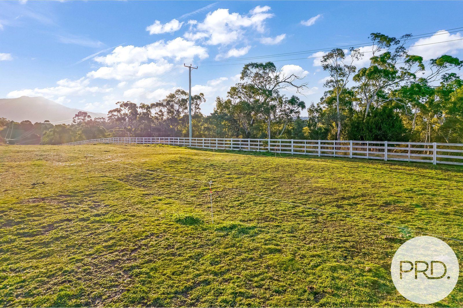 99 Forest Road GRANTON 10