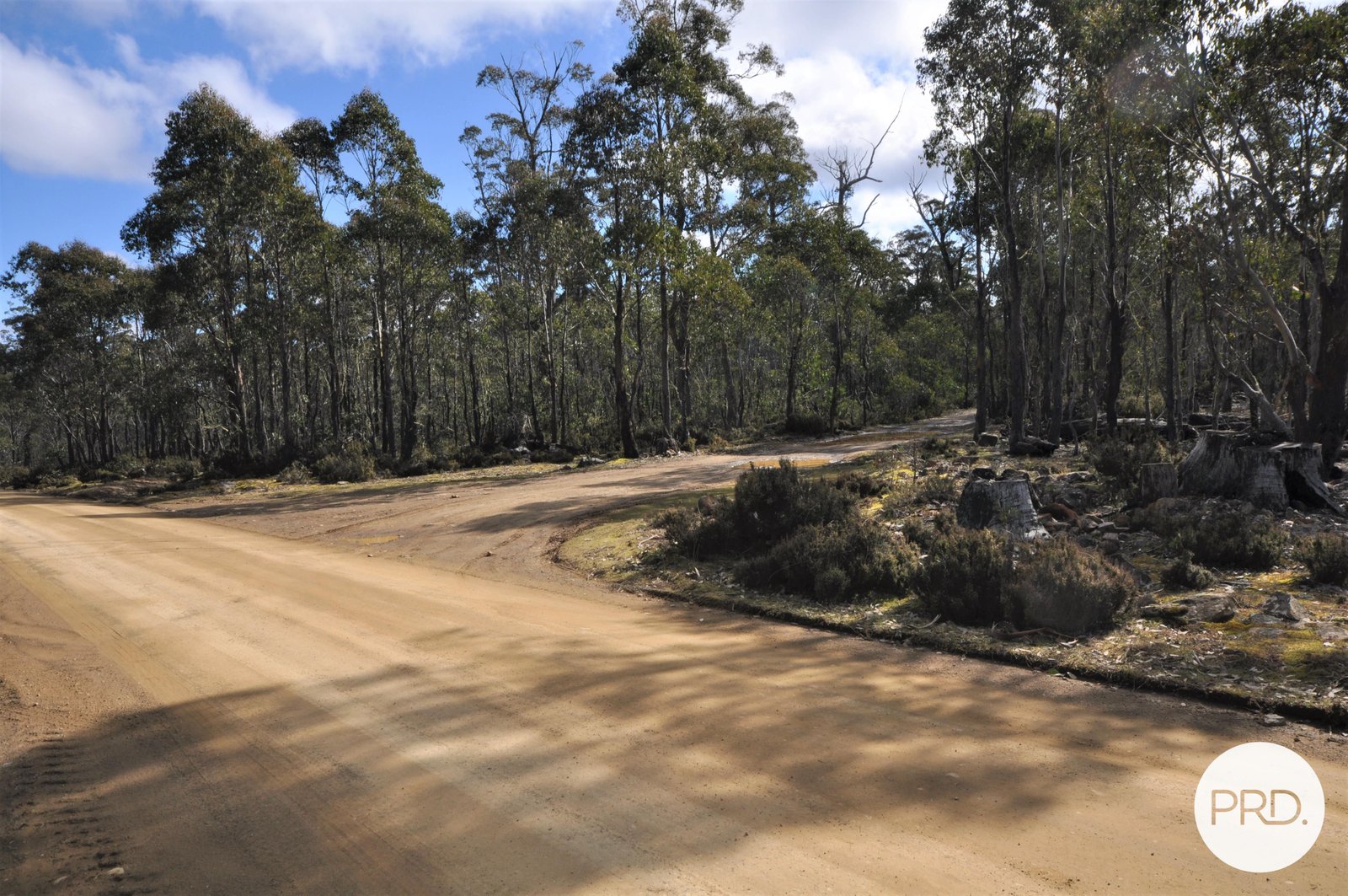 Lot 1 Alma Tier Road INTERLAKEN 15