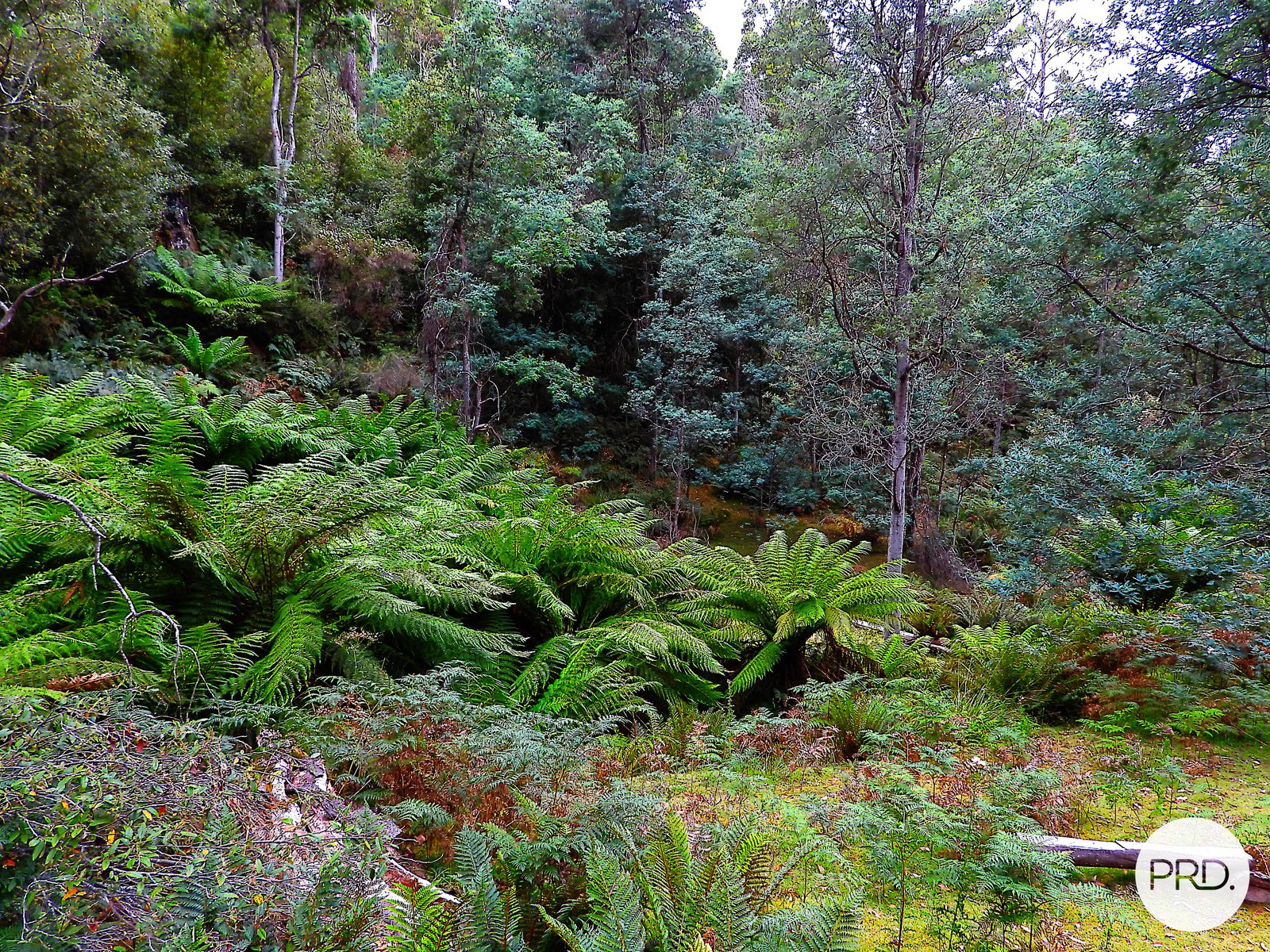 Lot 1 Back River Road MAGRA 3