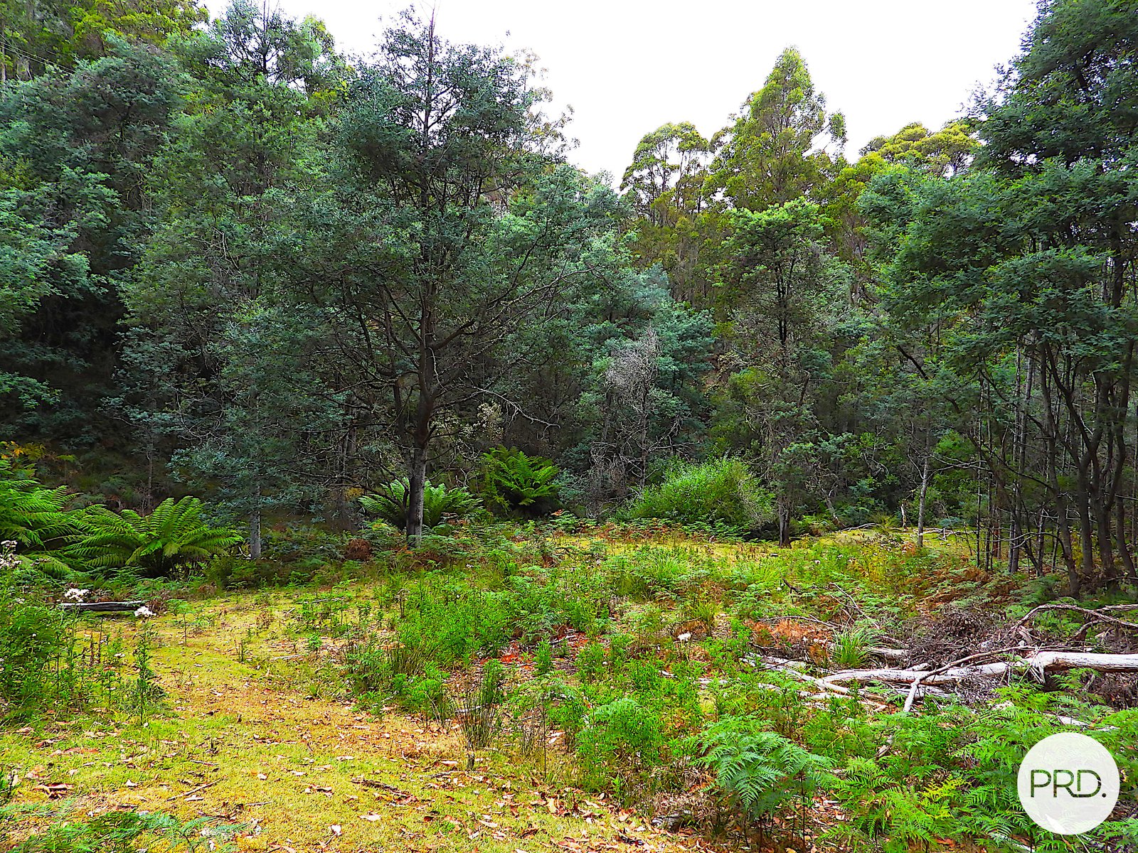 Lot 1 Back River Road MAGRA 4