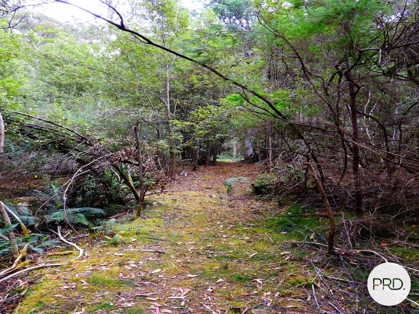 Lot 1 Back River Road MAGRA 5