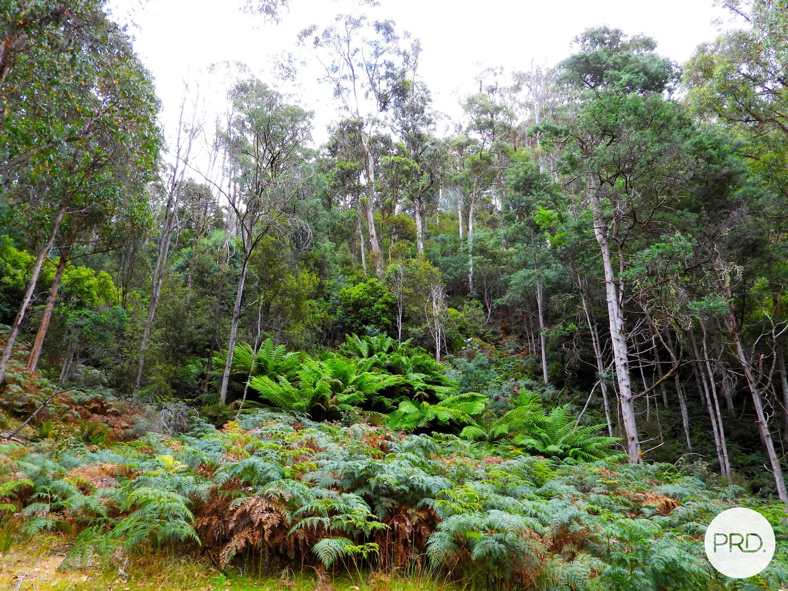 Lot 1 Back River Road MAGRA 6