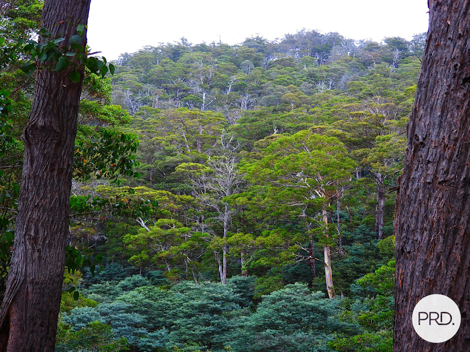 Lot 1 Back River Road MAGRA 12