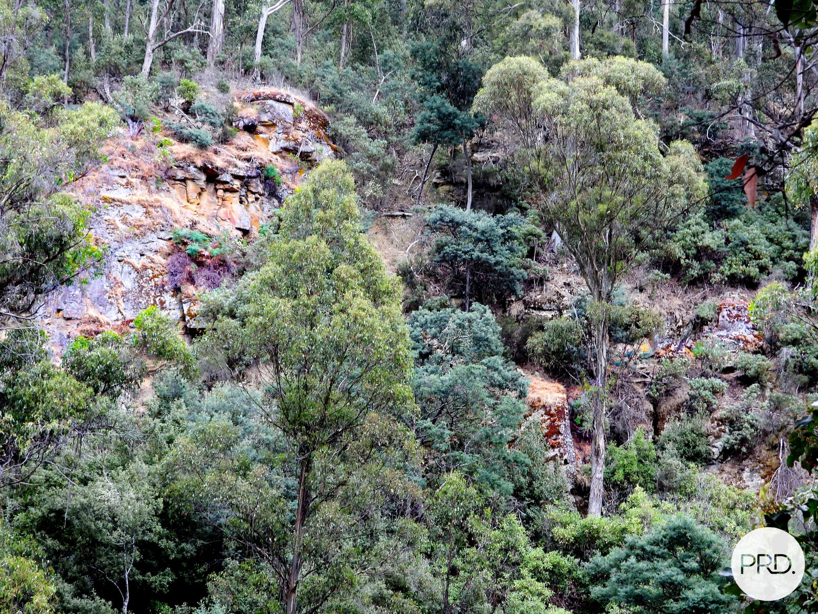 Lot 1 Back River Road MAGRA 15