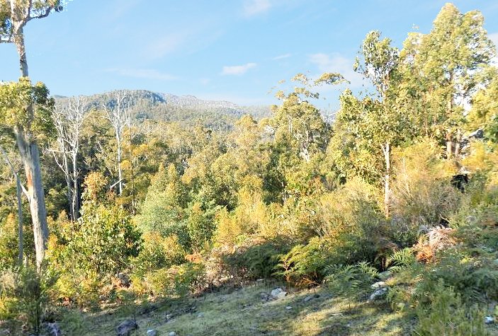 Lot 1 Braslins Road BLACK HILLS 4