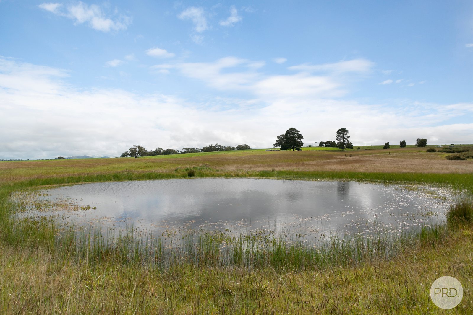  Bushes Lane CARNGHAM 4