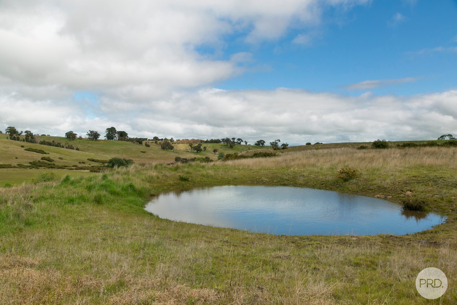  Bushes Lane CARNGHAM 5
