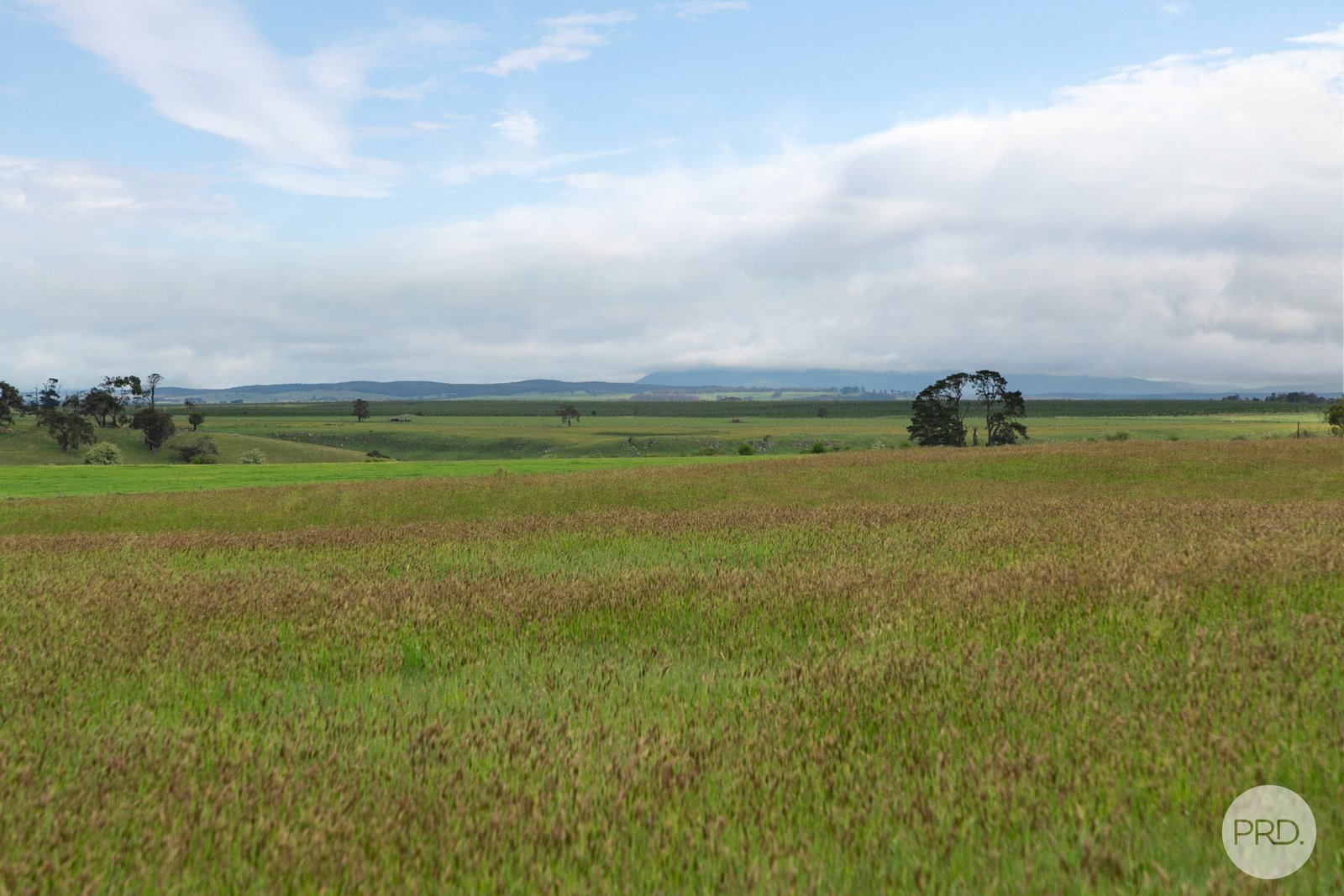  Bushes Lane CARNGHAM 9