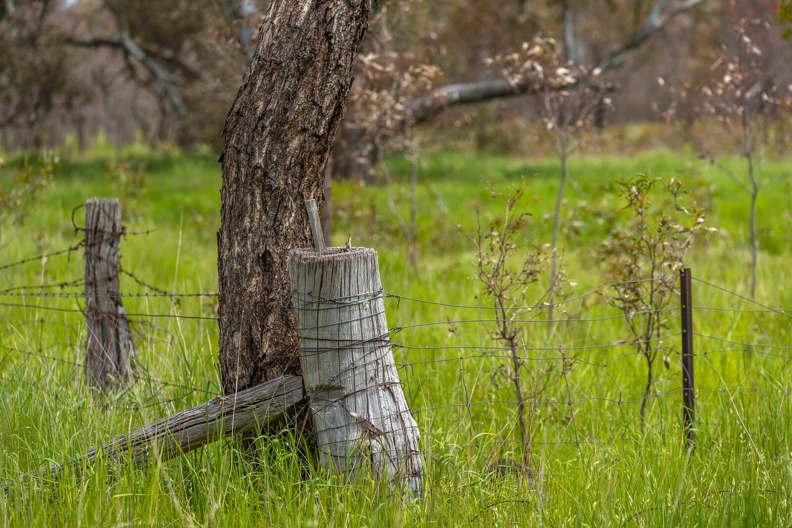 Real Estate and Property in Lot 1 Cnr Mount Lofty & Racecourse Road, Redesdale, VIC