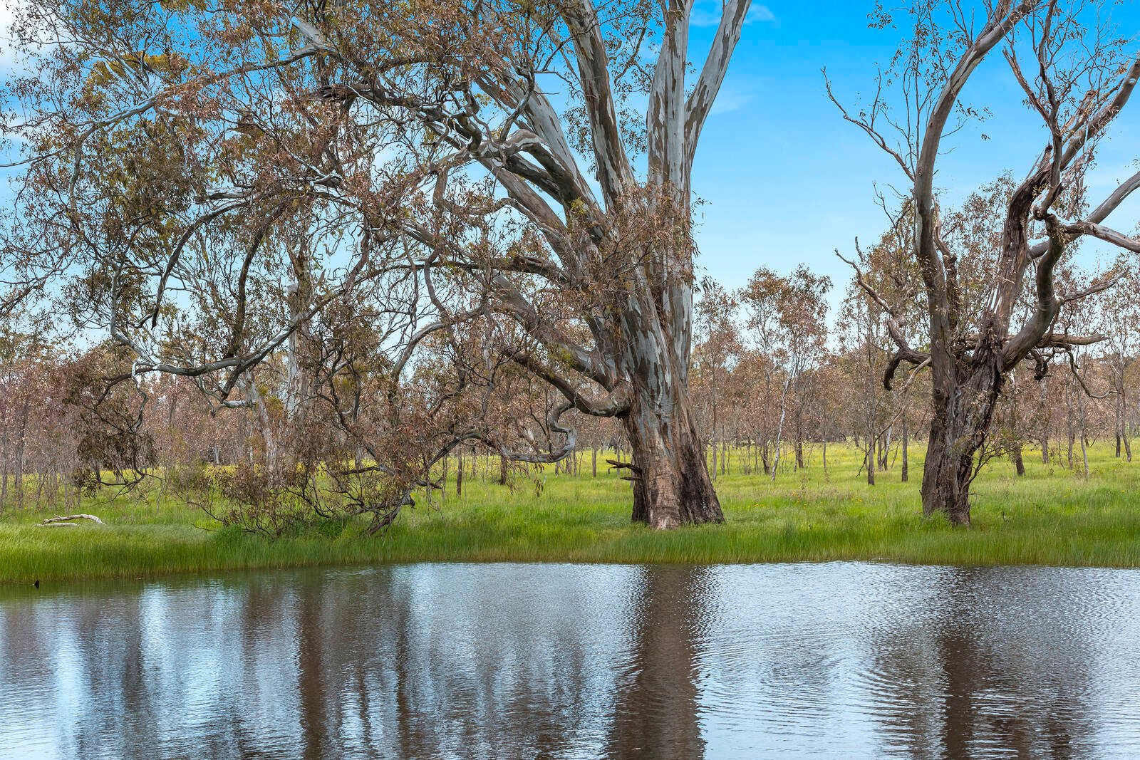 Real Estate and Property in Lot 1 Cnr Mount Lofty & Racecourse Road, Redesdale, VIC