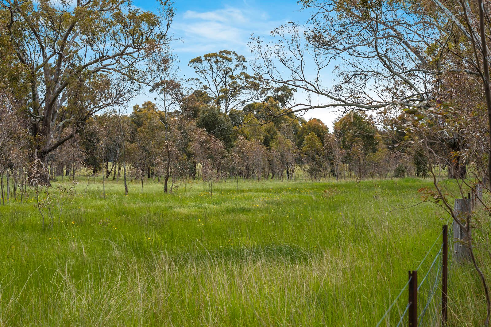 Real Estate and Property in Lot 1 Cnr Mount Lofty & Racecourse Road, Redesdale, VIC