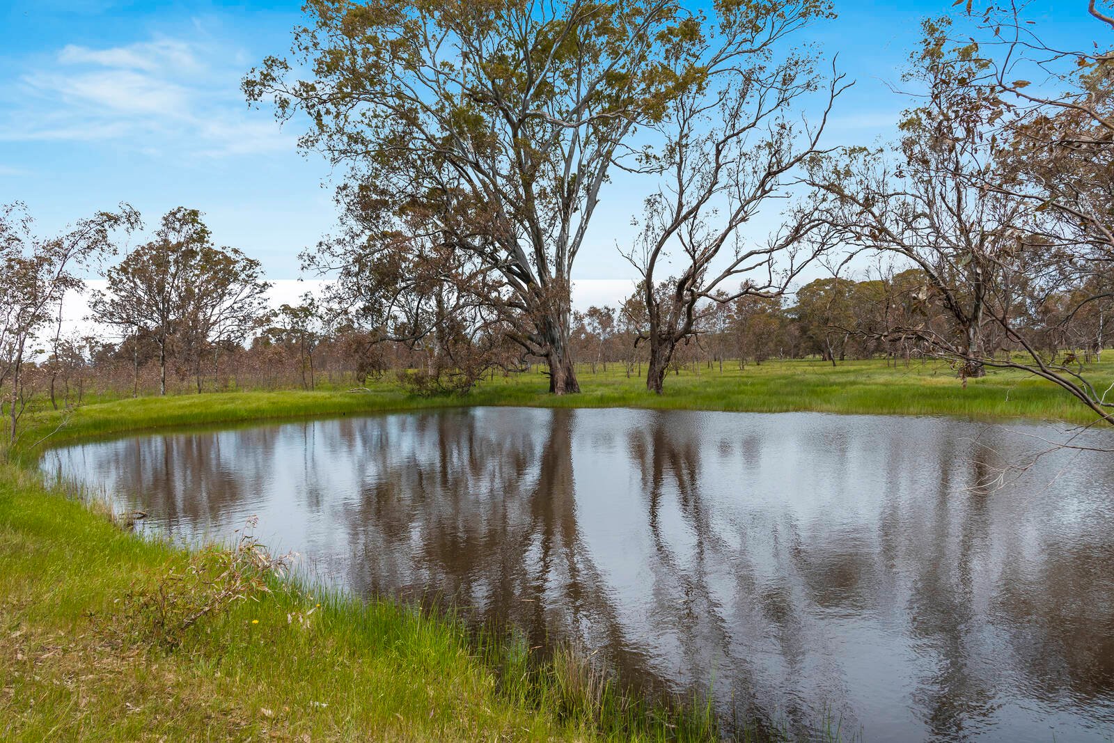 Real Estate and Property in Lot 1 Cnr Mount Lofty & Racecourse Road, Redesdale, VIC