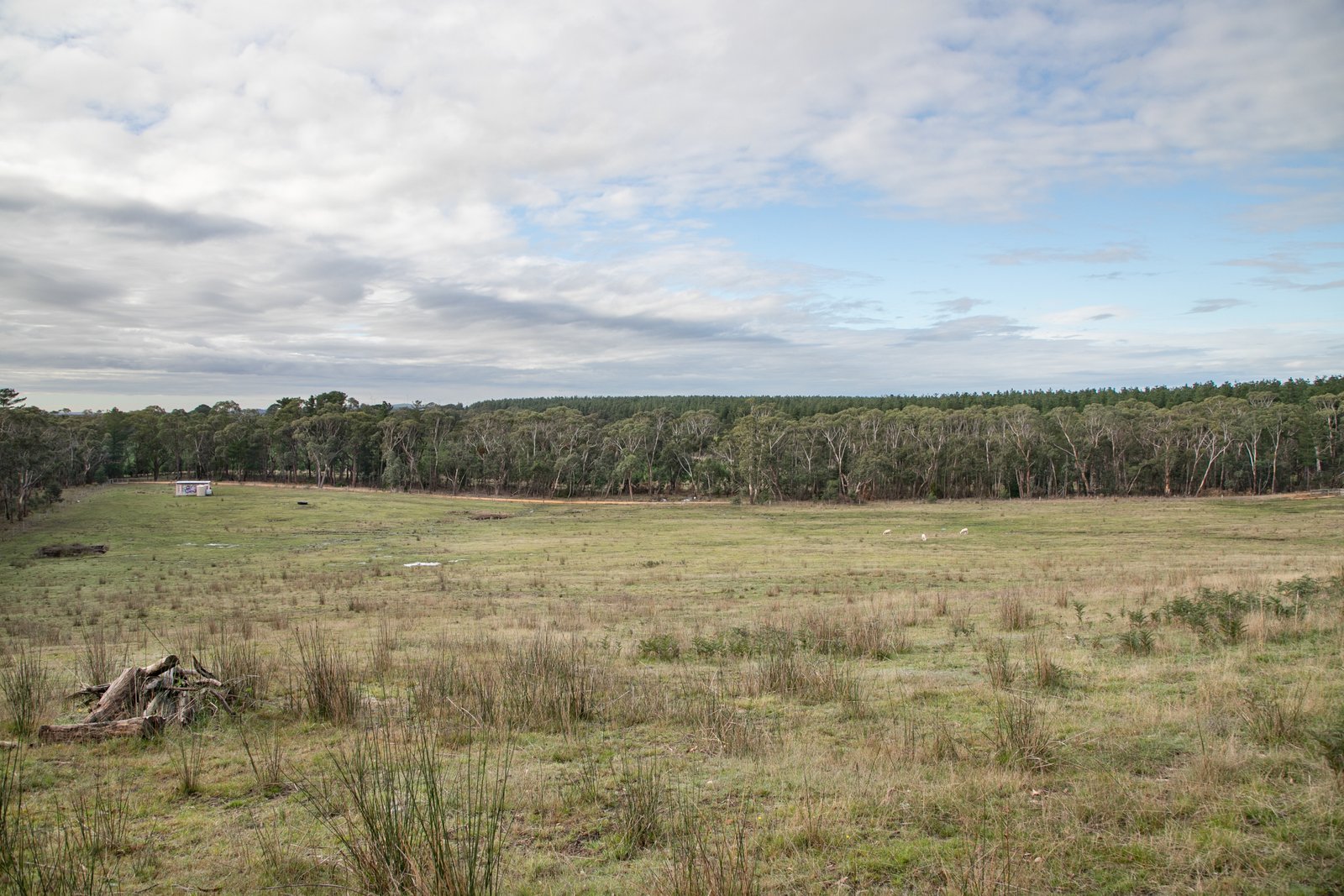 Lot 1 Colac-Ballarat Road ENFIELD 3
