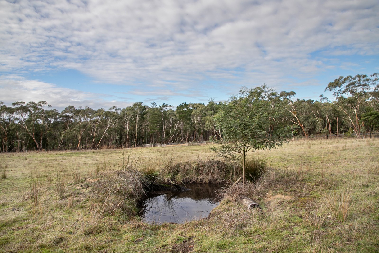Lot 1 Colac-Ballarat Road ENFIELD 6