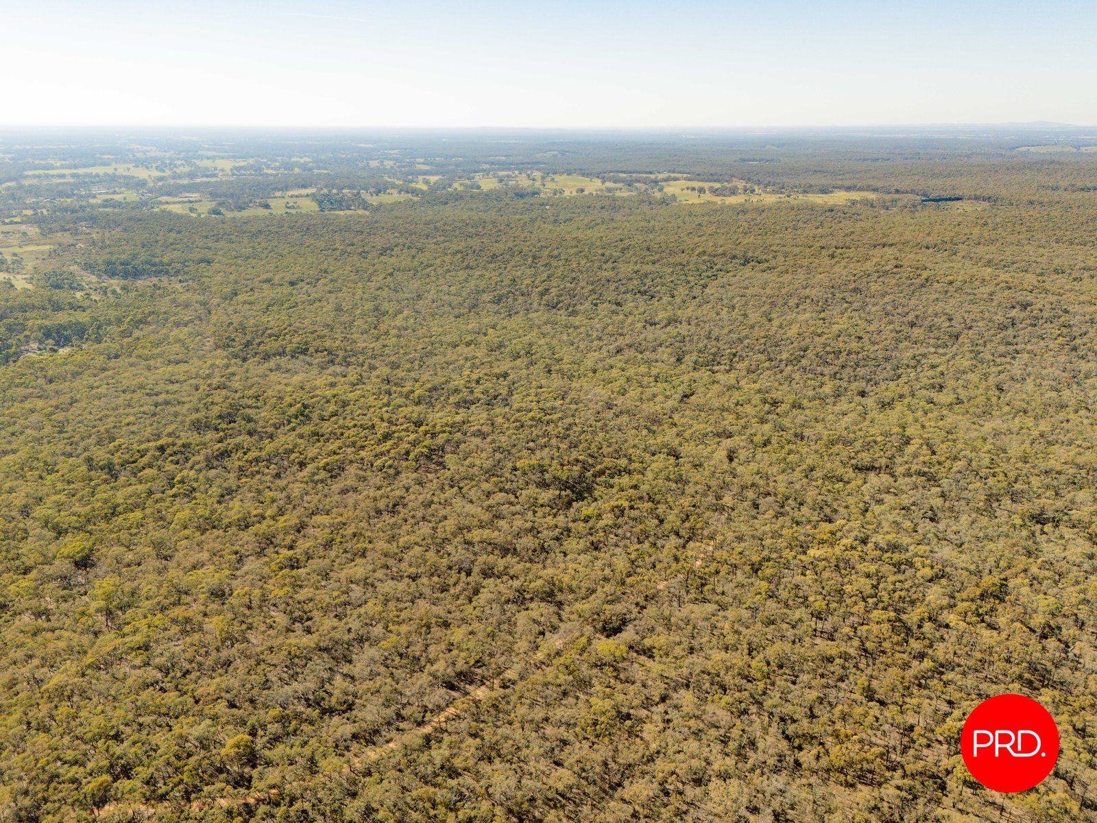 Lot 1 Curtis Road AXE CREEK 3