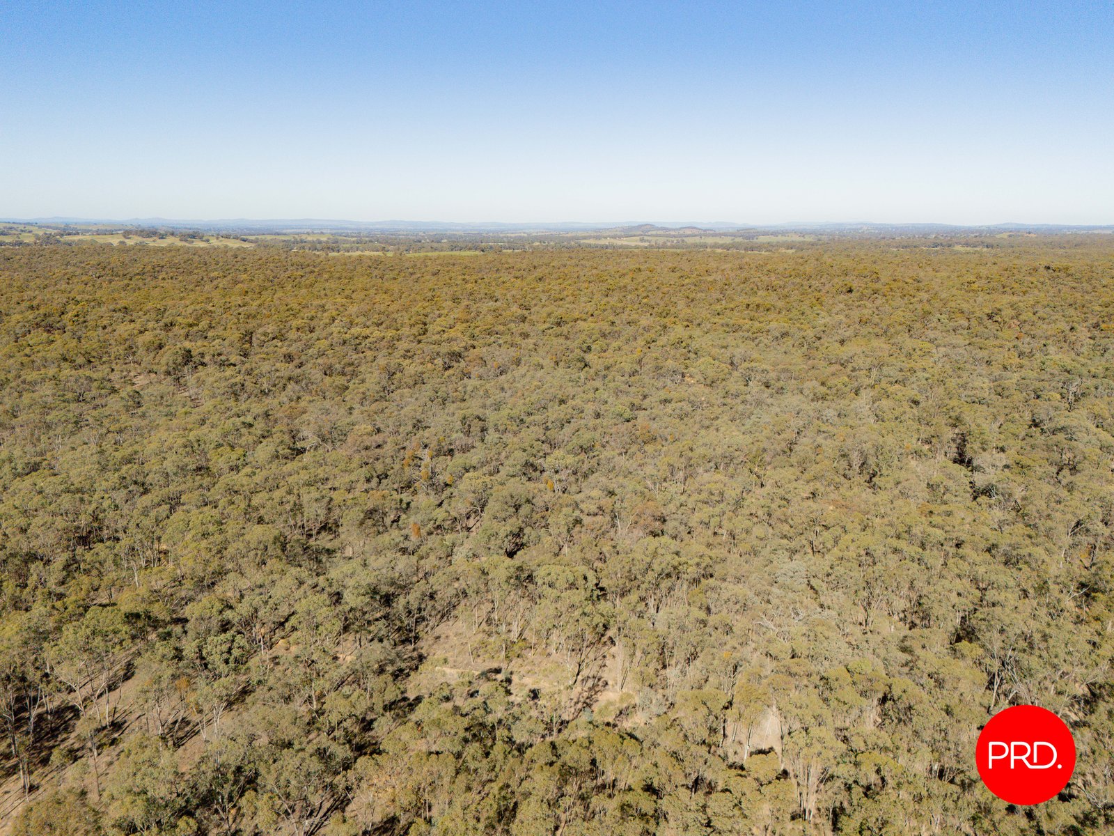 Lot 1 Curtis Road AXE CREEK 4