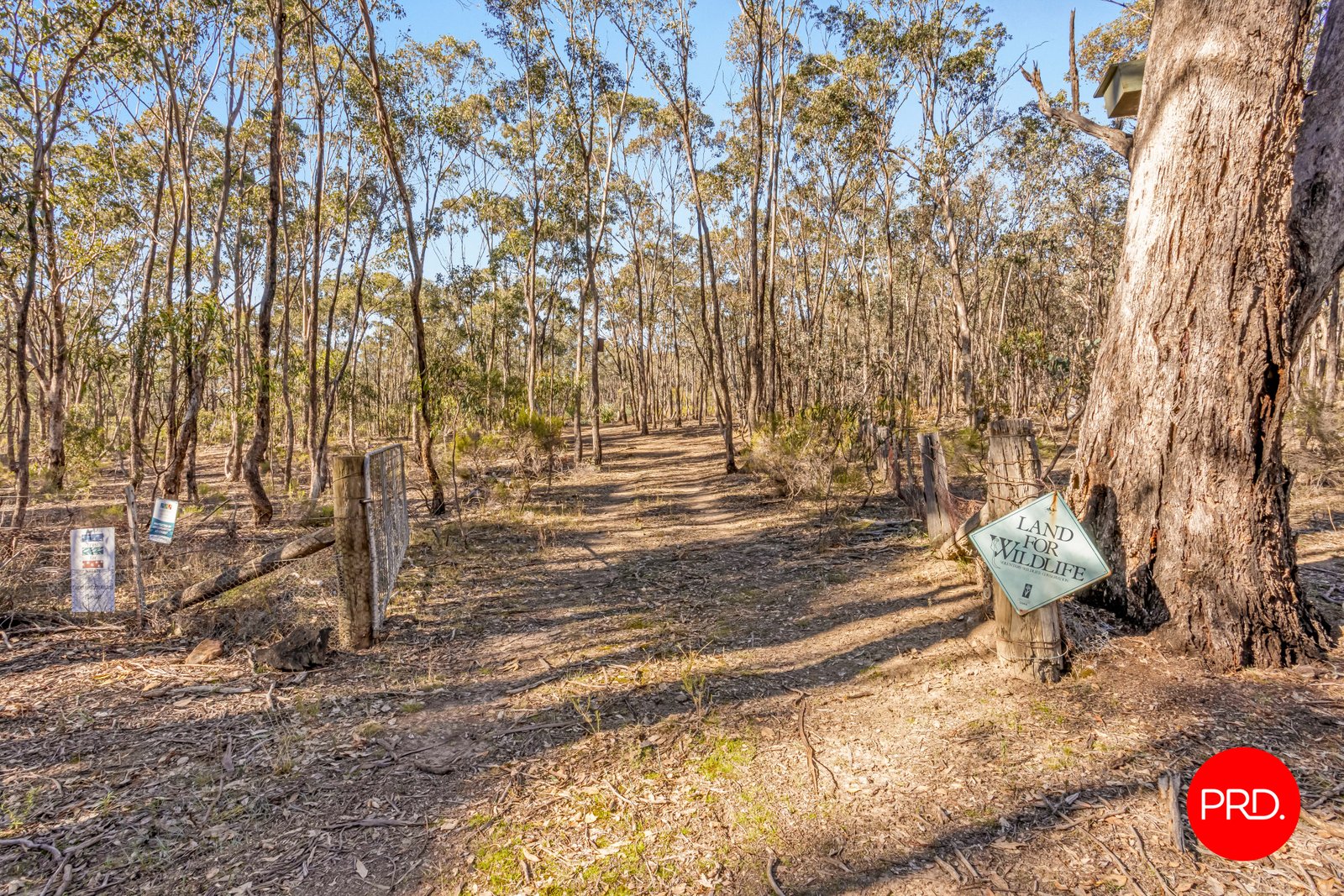 Lot 1 Curtis Road AXE CREEK 6