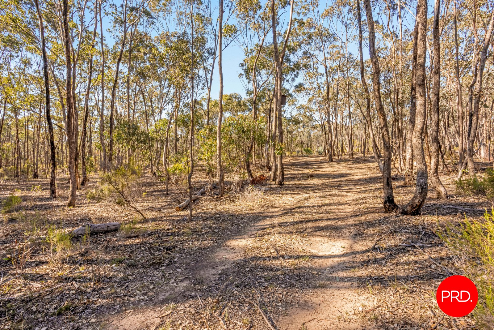 Lot 1 Curtis Road AXE CREEK 7