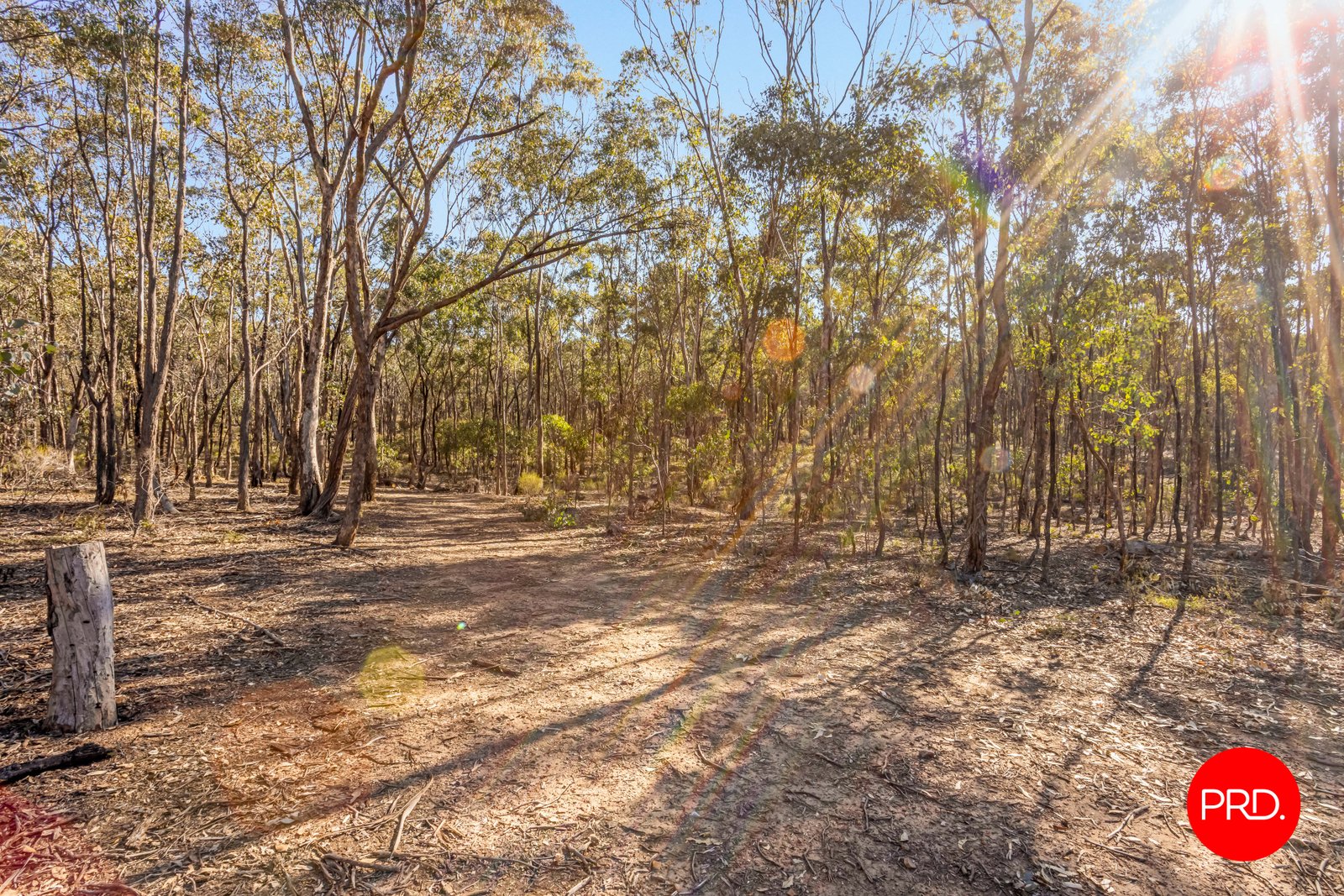 Lot 1 Curtis Road AXE CREEK 8