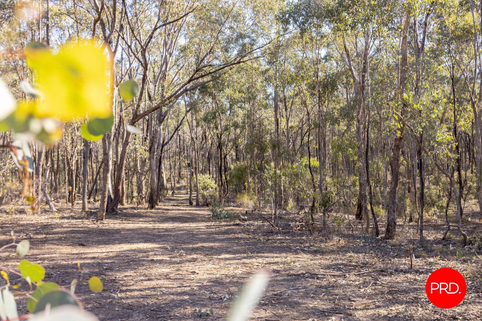 Lot 1 Curtis Road AXE CREEK 9