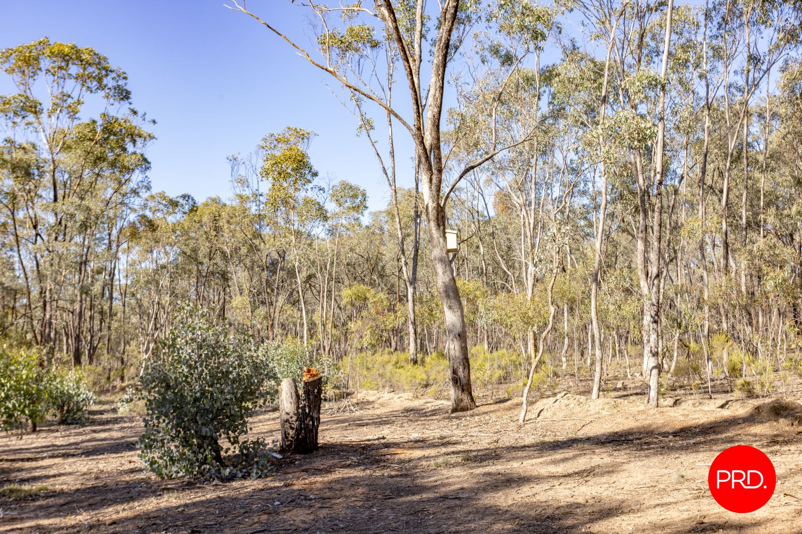 Lot 1 Curtis Road AXE CREEK 10