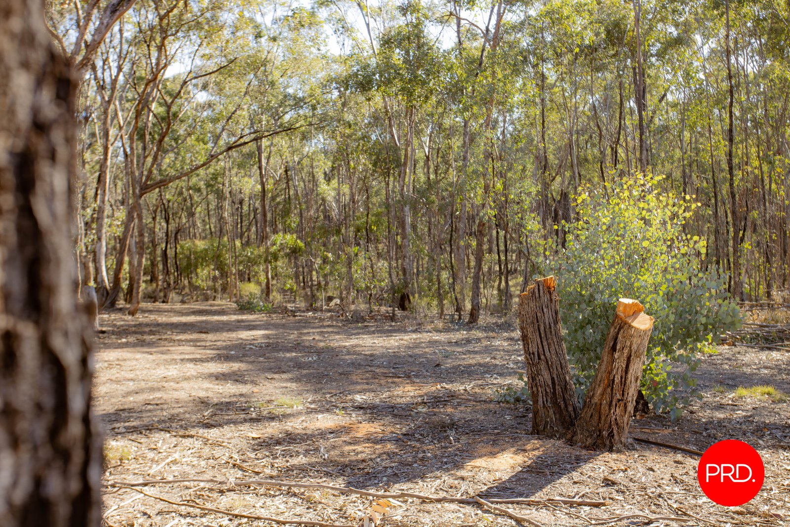 Lot 1 Curtis Road AXE CREEK 11