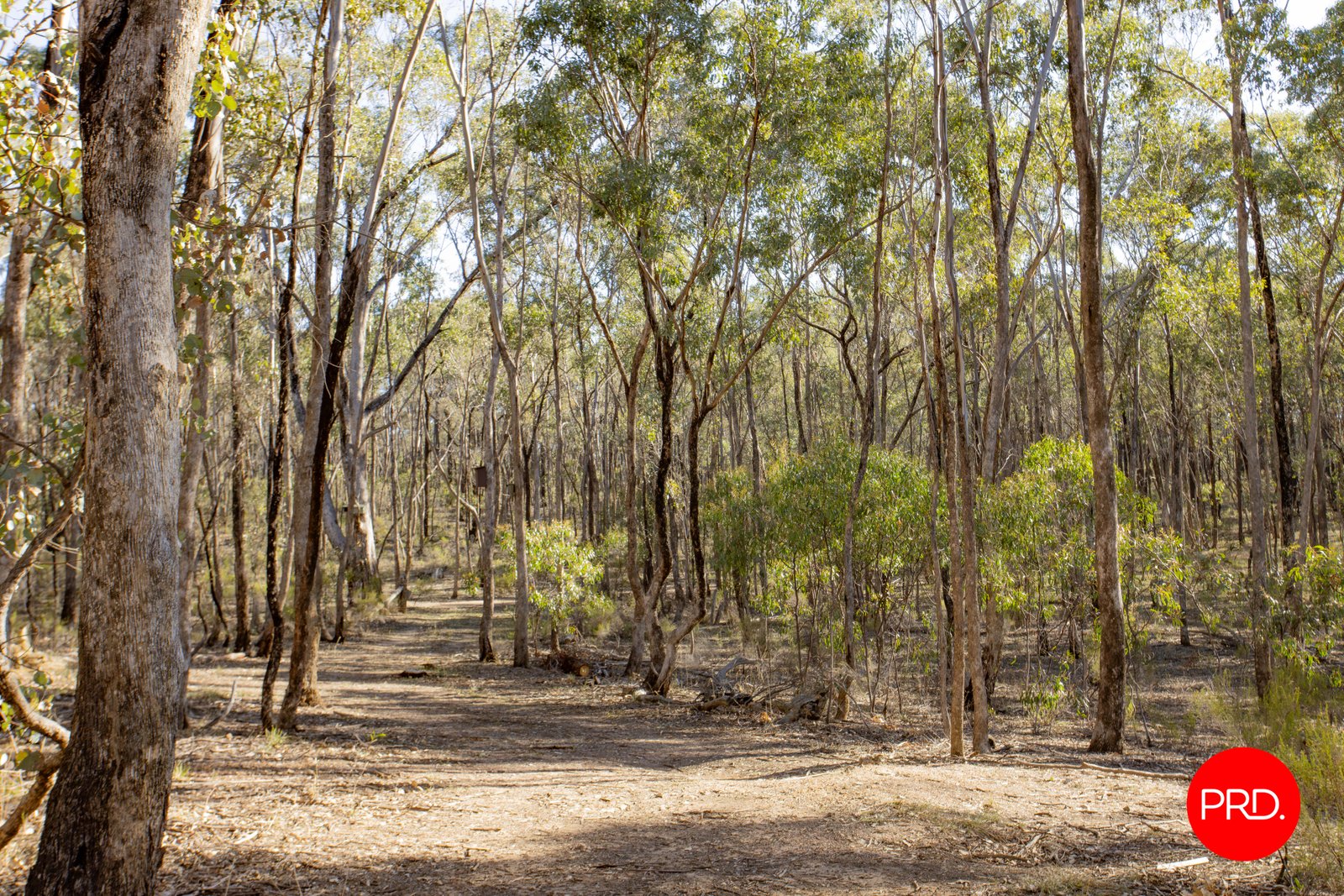 Lot 1 Curtis Road AXE CREEK 12