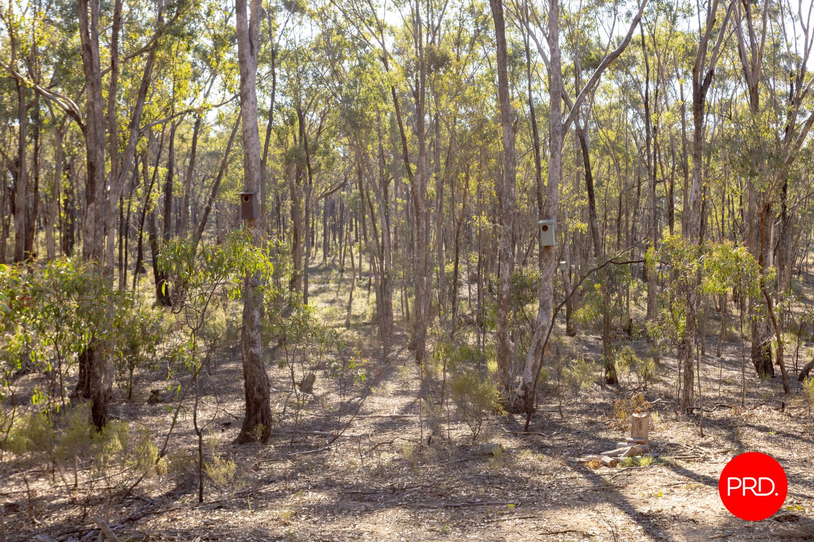 Lot 1 Curtis Road AXE CREEK 13