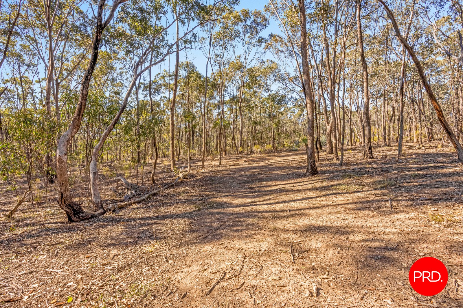 Lot 1 Curtis Road AXE CREEK 15