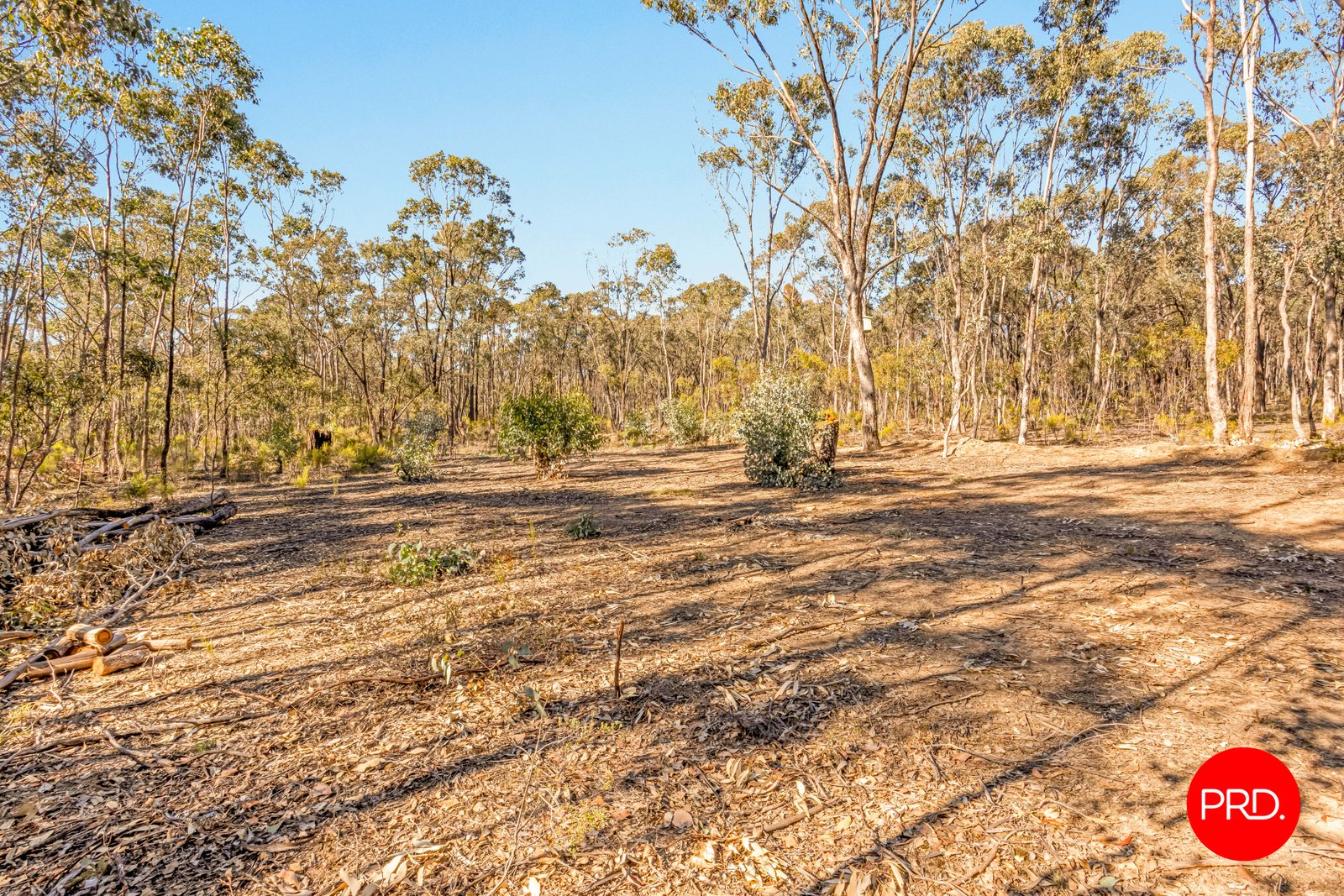 Lot 1 Curtis Road AXE CREEK 16