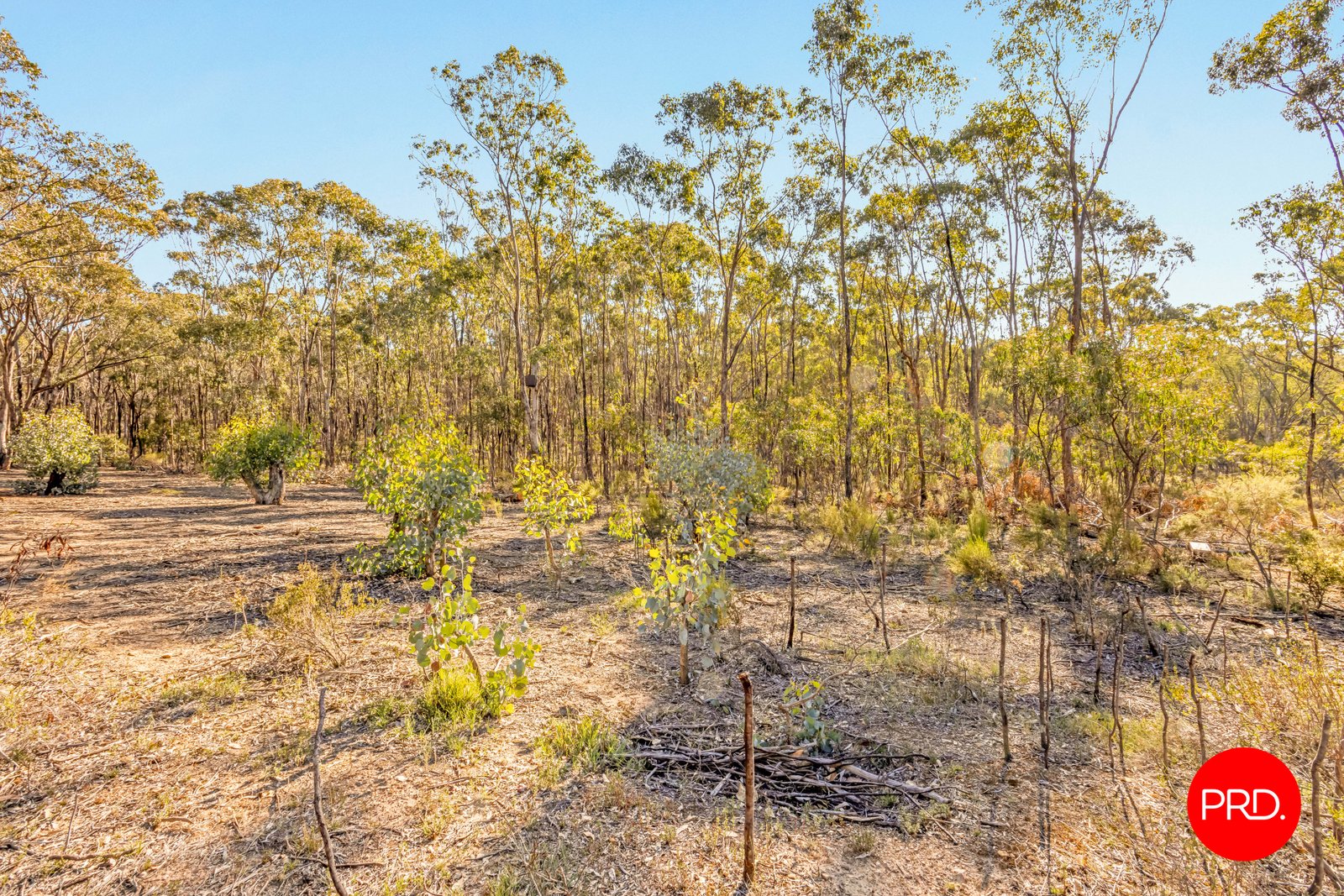 Lot 1 Curtis Road AXE CREEK 17