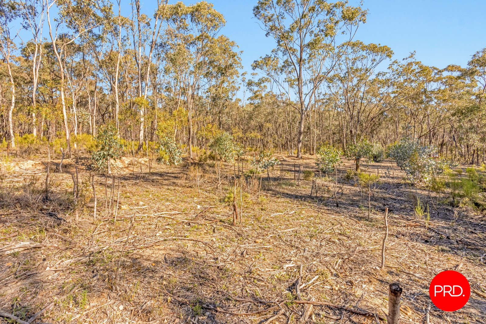 Lot 1 Curtis Road AXE CREEK 18