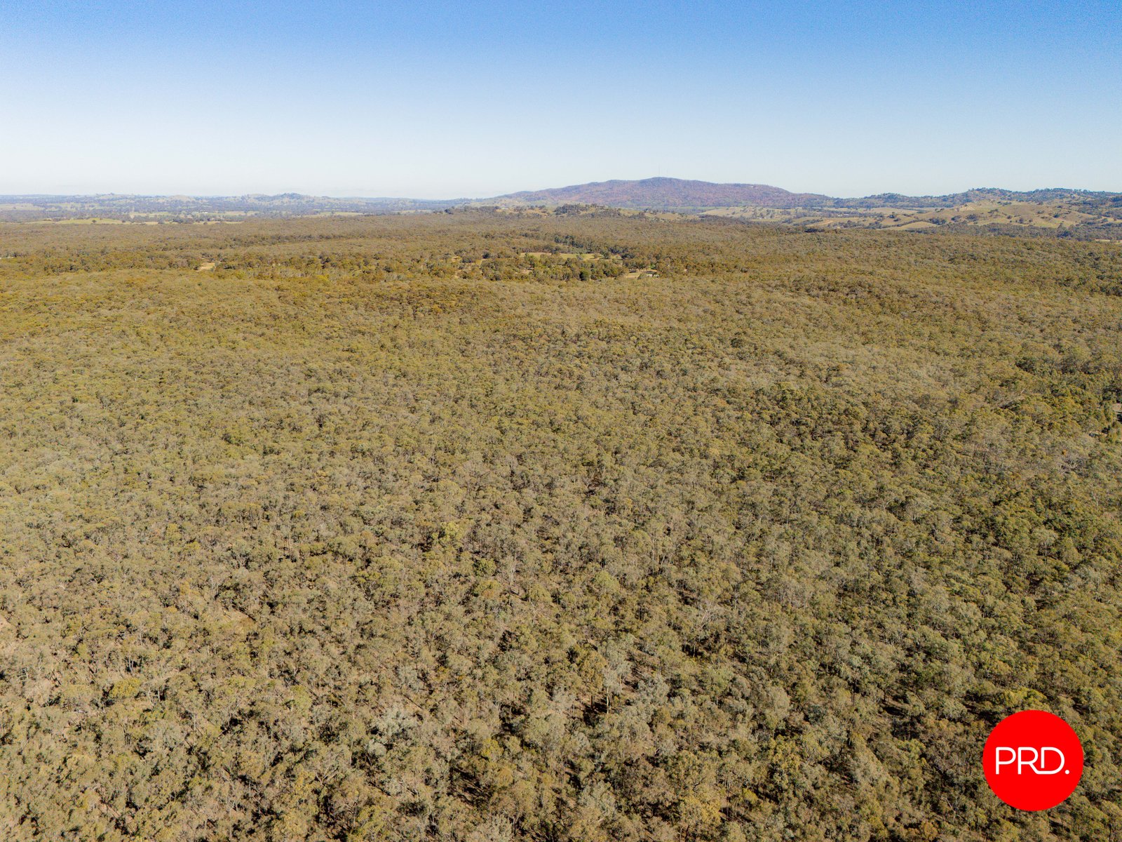 Lot 1 Curtis Road AXE CREEK 19