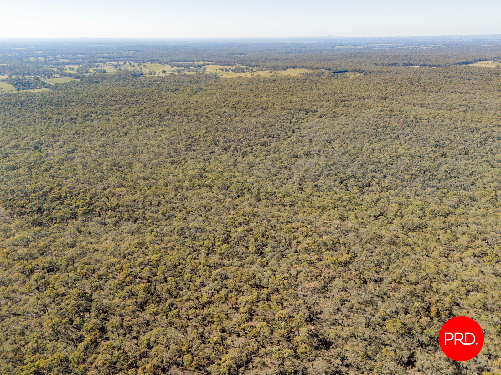 Lot 1 Curtis Road AXE CREEK 20