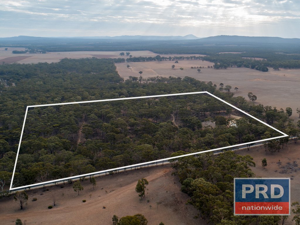Lot 1 Dunolly- Inglewood Road INGLEWOOD 6