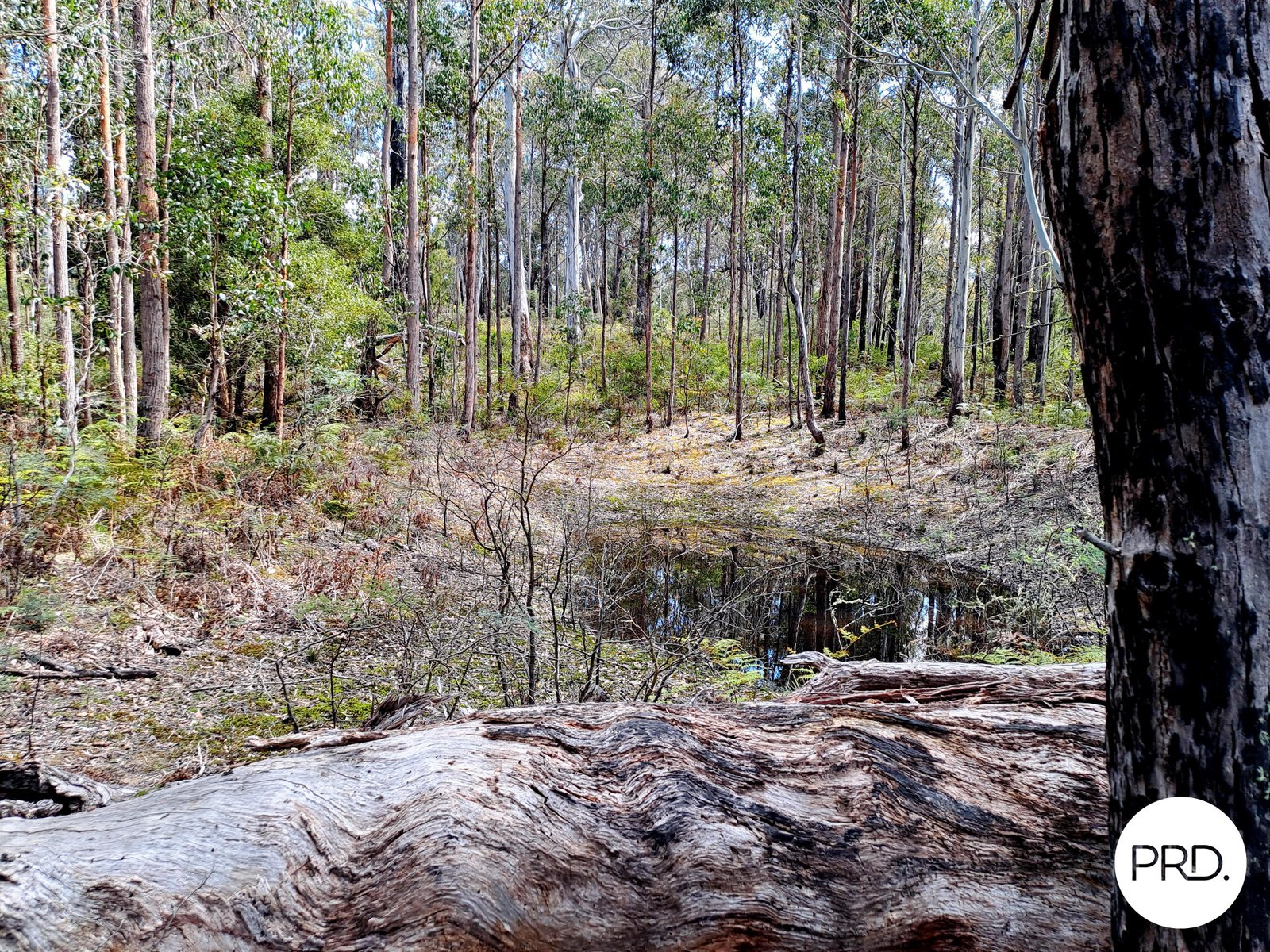  Ellendale Road ELLENDALE 2