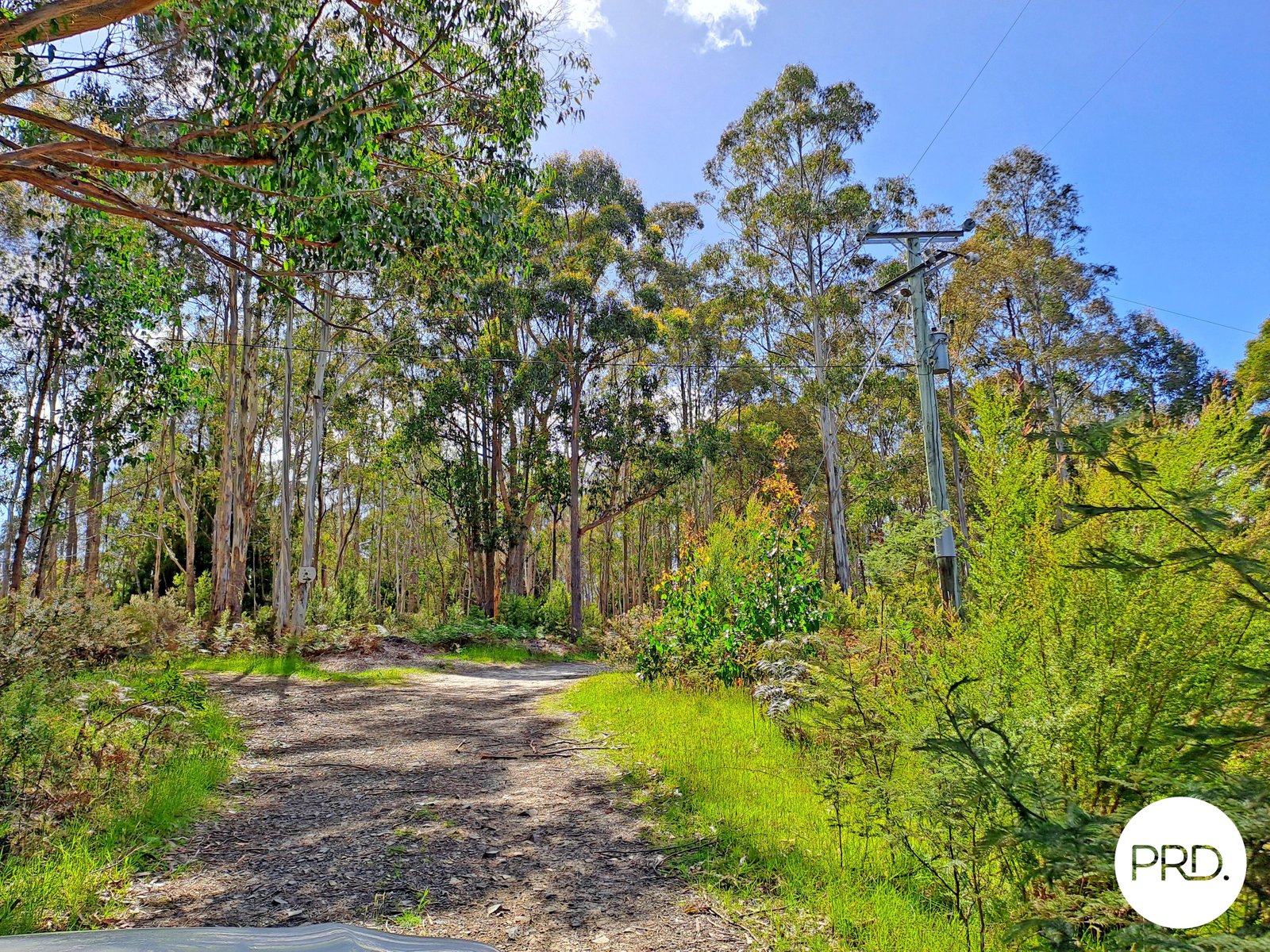  Ellendale Road ELLENDALE 3