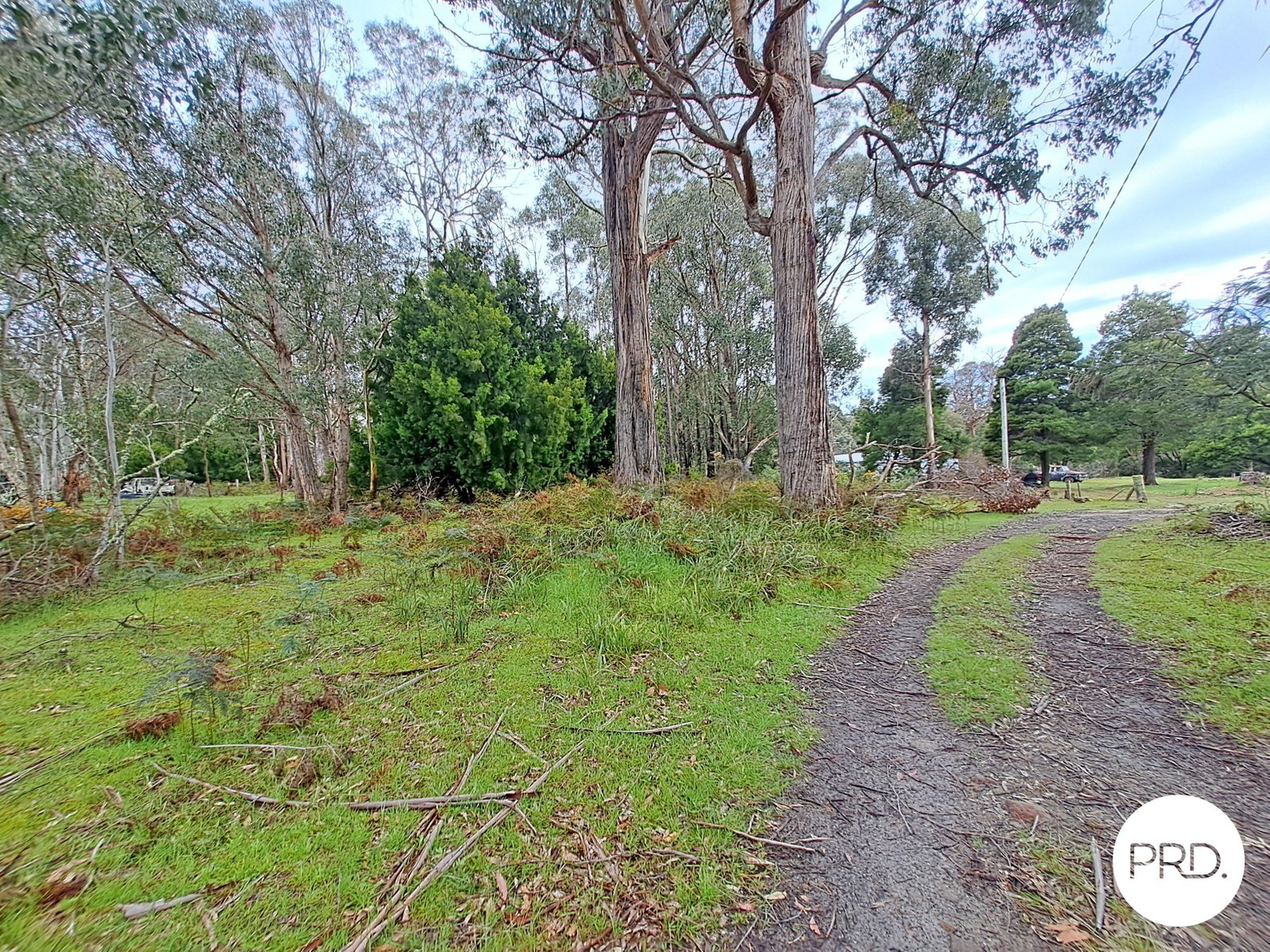  Ellendale Road ELLENDALE 4