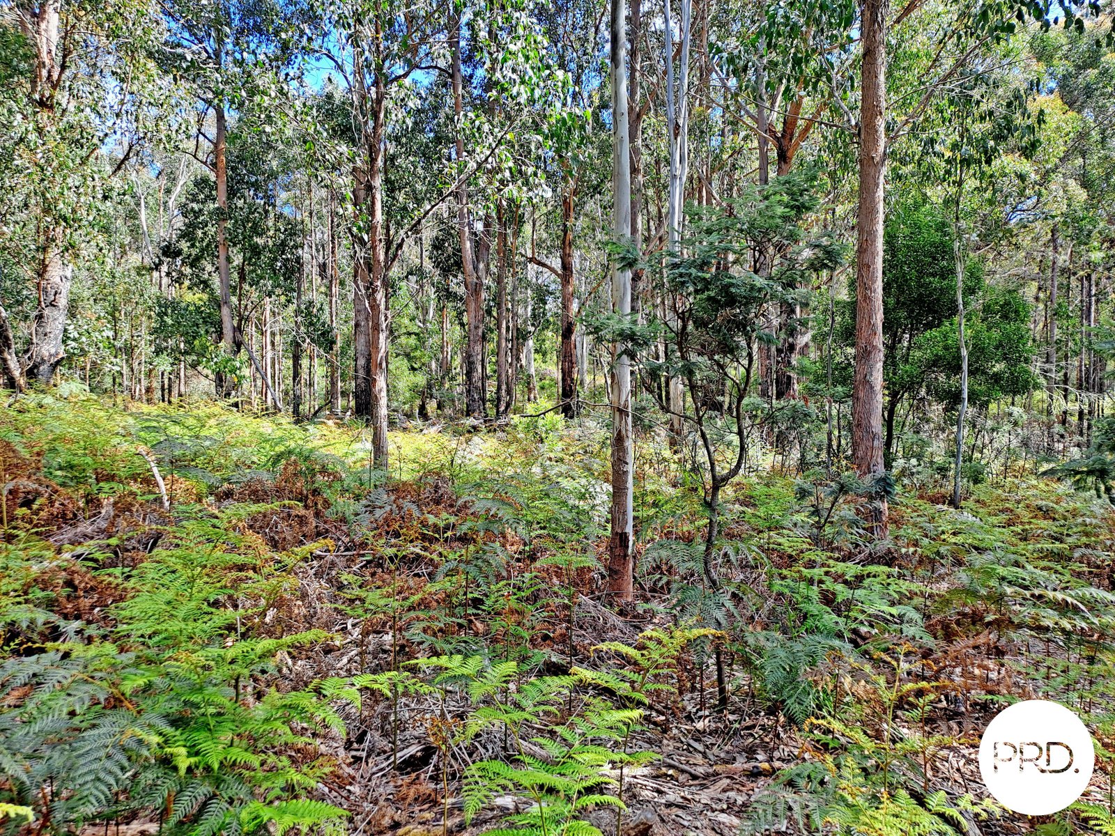  Ellendale Road ELLENDALE 7