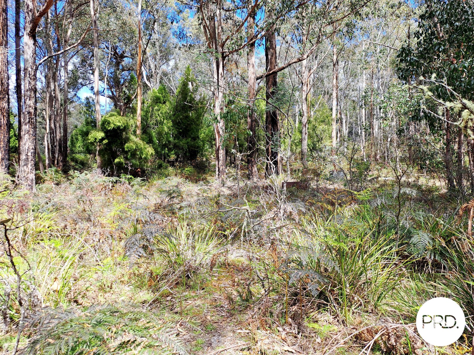  Ellendale Road ELLENDALE 10