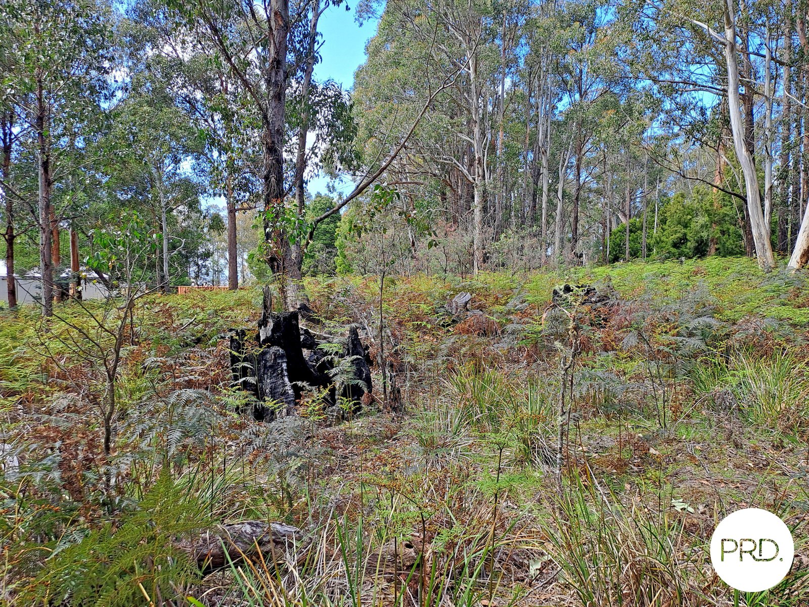  Ellendale Road ELLENDALE 11