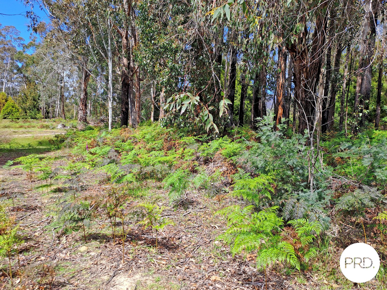  Ellendale Road ELLENDALE 12