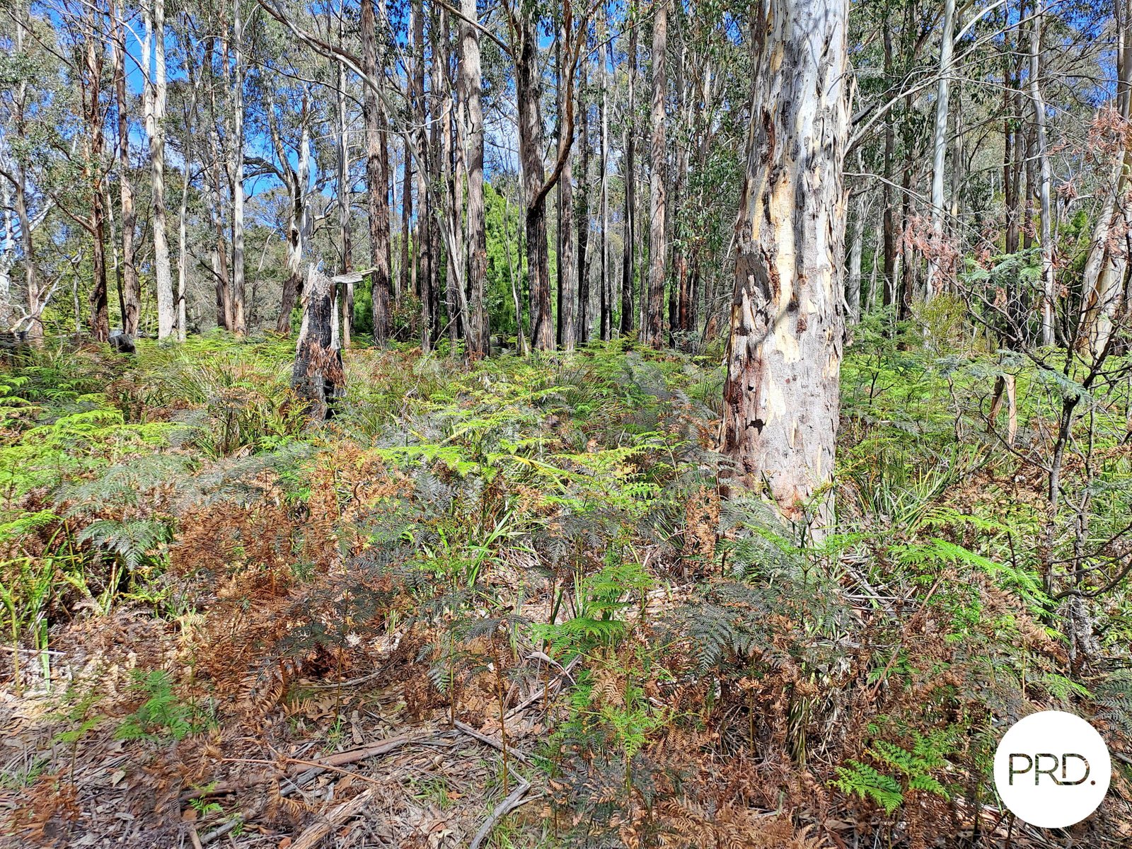  Ellendale Road ELLENDALE 13