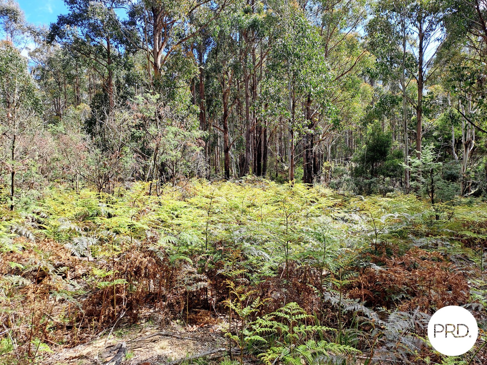  Ellendale Road ELLENDALE 14