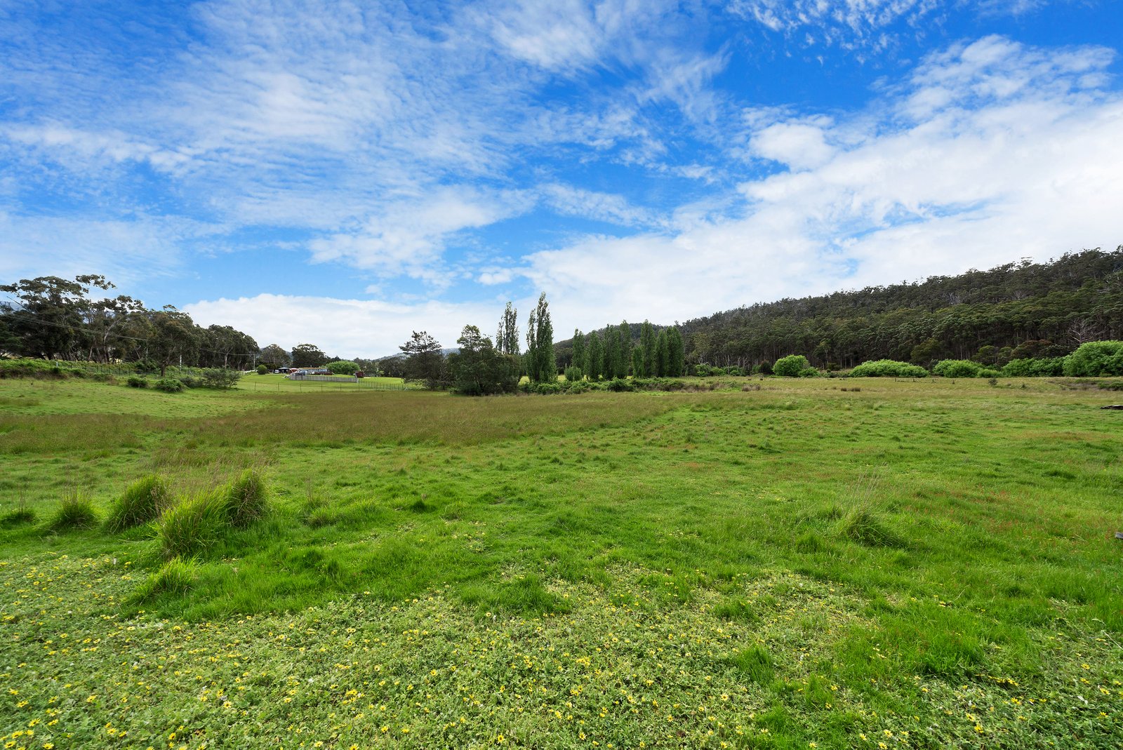 Lot 1 Ellendale Road WESTERWAY 8