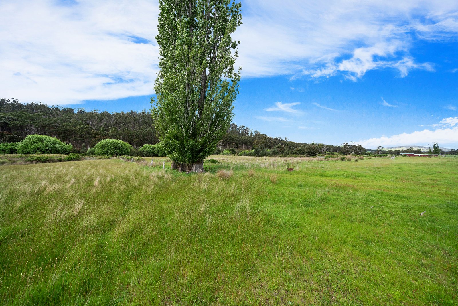 Lot 1 Ellendale Road WESTERWAY 12