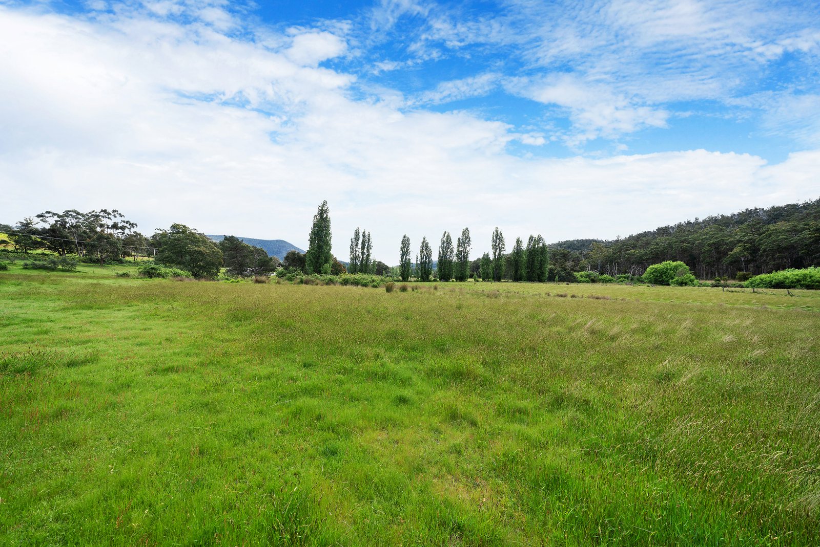 Lot 1 Ellendale Road WESTERWAY 13